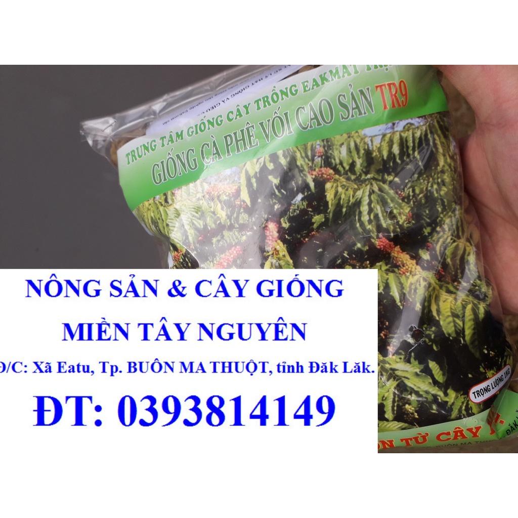 200 GRAM HẠT GIỐNG CÀ PHÊ vối cao sản TR9 [ HẠT TUYỂN CHỌN - TỶ LỆ NẢY MẦM CAO ]. [ freeship xtra + hoàn xu + ] [ GHN ]