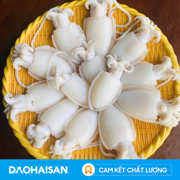 Mực Bầu Baby Khay 500g