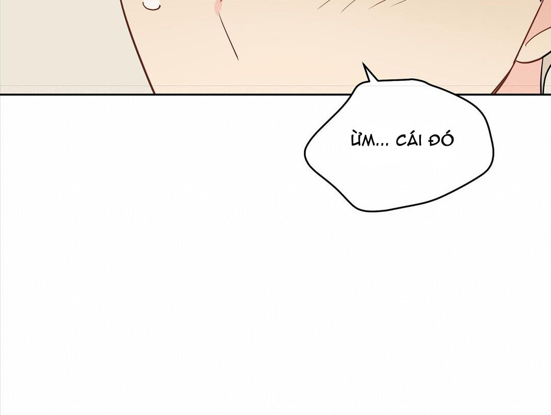 chuyện quái gì với giấc mơ đó vậy chapter 45 22