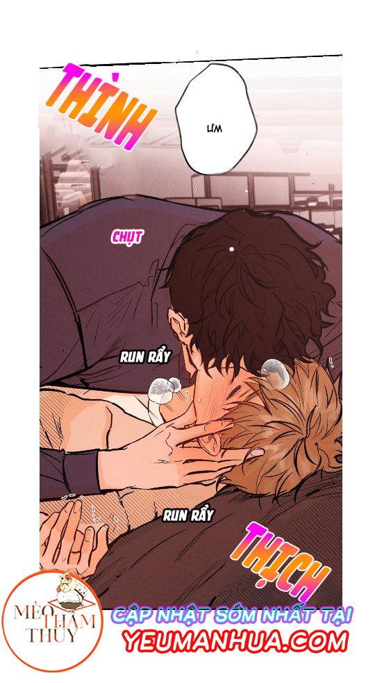 punk dunk funk chapter 10 44