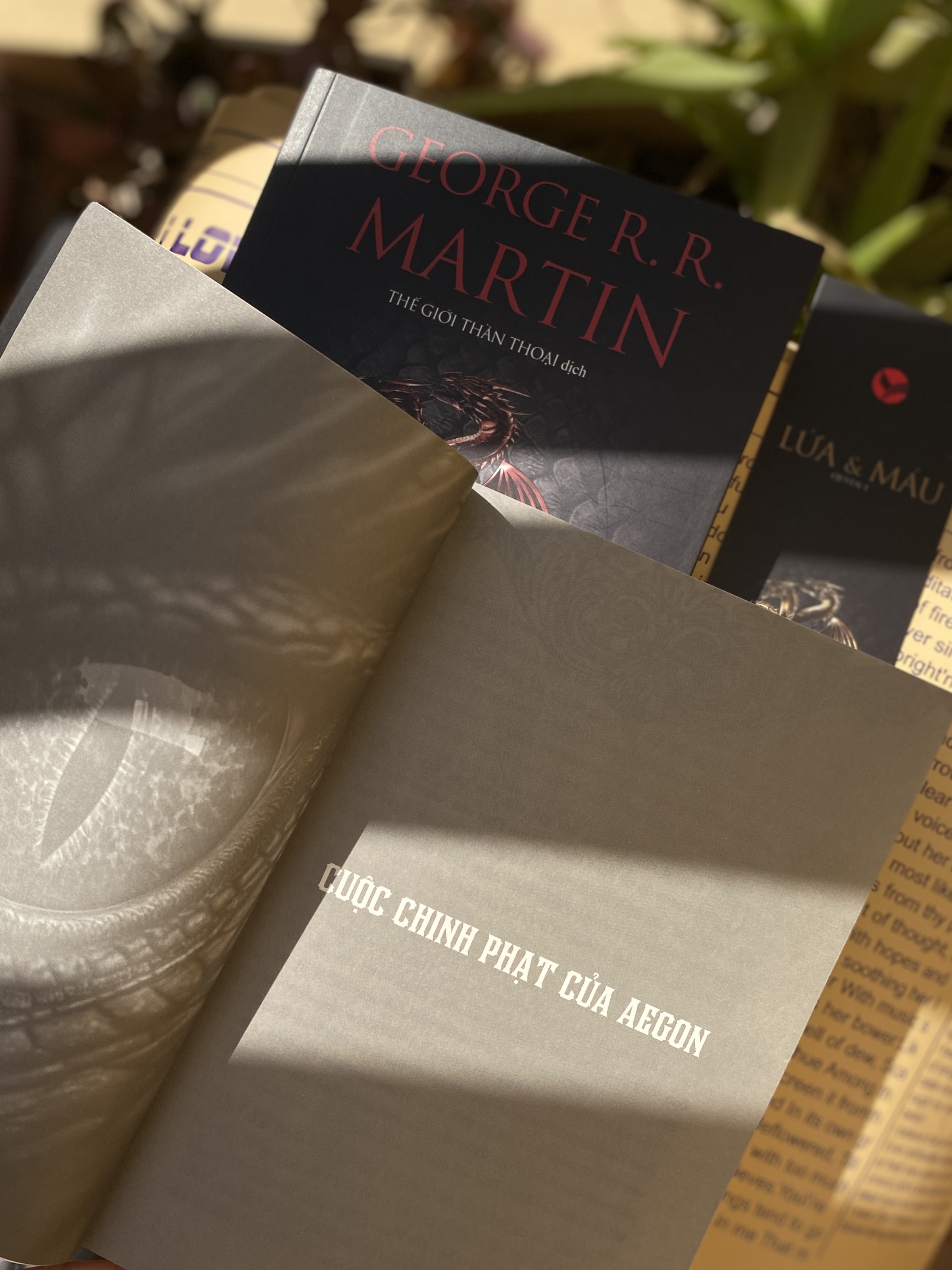 Sách - Lửa và Máu (Bộ 2 tập) - Bách việt