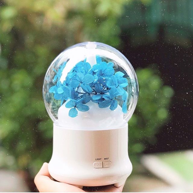 Máy Khuếch Tán Tinh Dầu Cẩm Tú Cầu Màu Xanh Dương 100ml