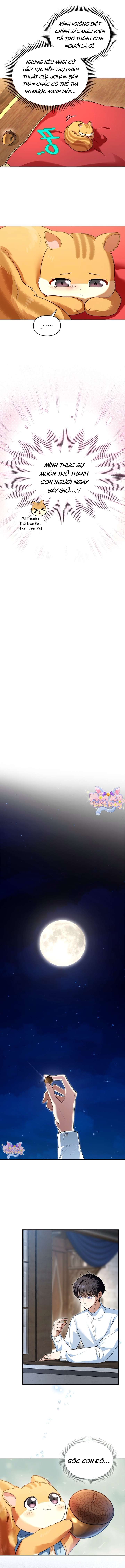 Trở Thành Sóc Nhỏ Của Kẻ Phản Diện chapter 3 3