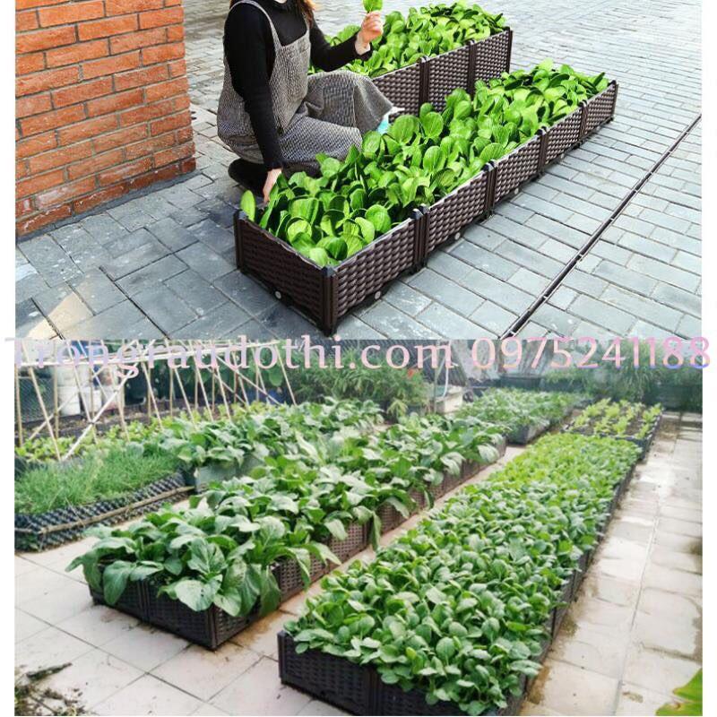 Chậu thông minh lắp ghép trồng rau sạch 120x40x22cm, đẹp, bền 5-7 năm