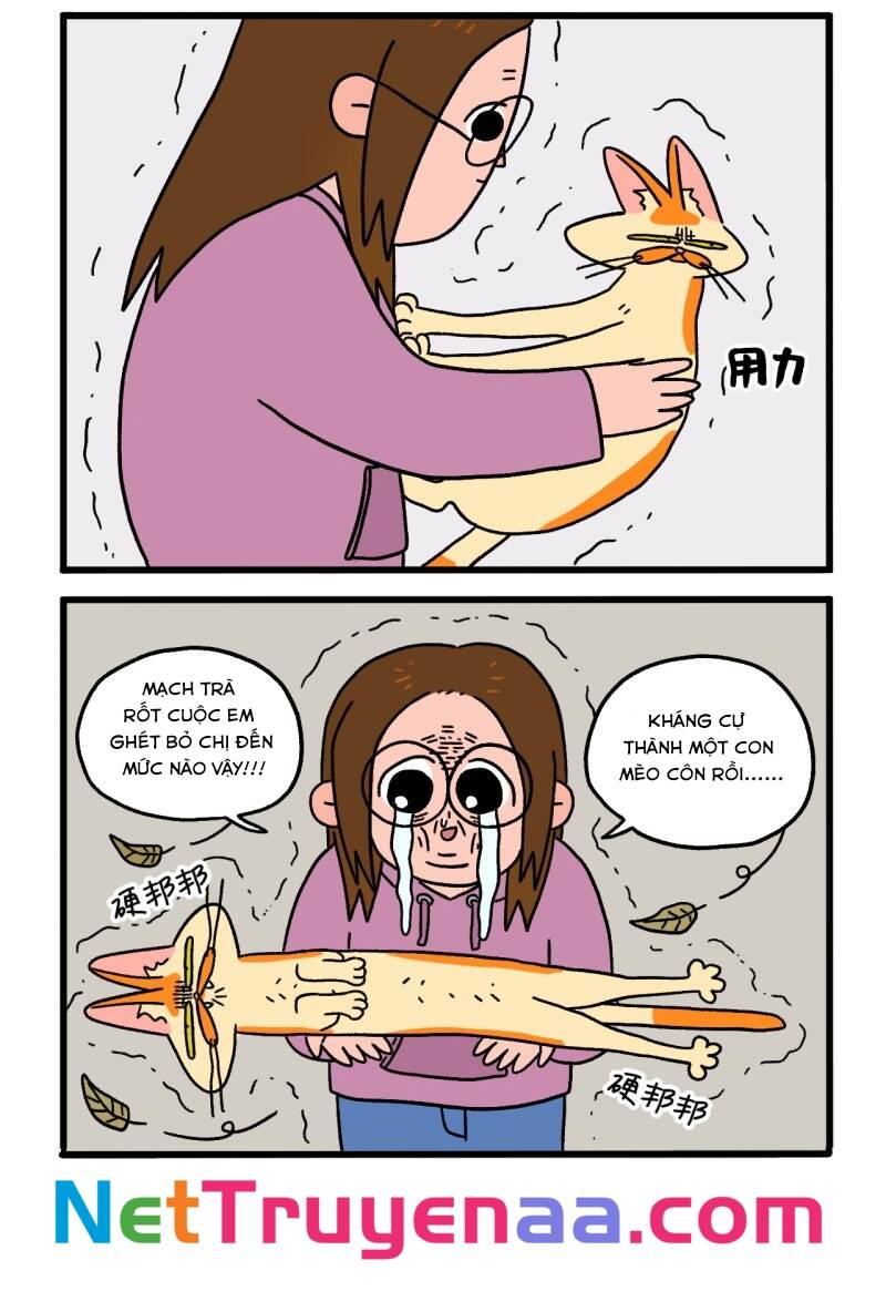 a mãn và mạch trà chapter 4 6