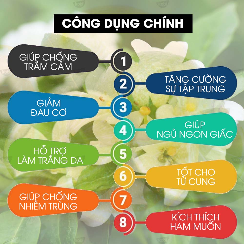 Tinh Dầu Hoa Nhài Kobi - Tinh Dầu Thiên Nhiên Nguyên Chất, Tinh Dầu Xông Phòng, Giúp Giảm Stress, Xua Đuổi Côn Trùng Và Khử Mùi Hiệu Quả, Thích Hợp Dùng Với Đèn Xông Và Máy Khuếch Tán Tinh Dầu