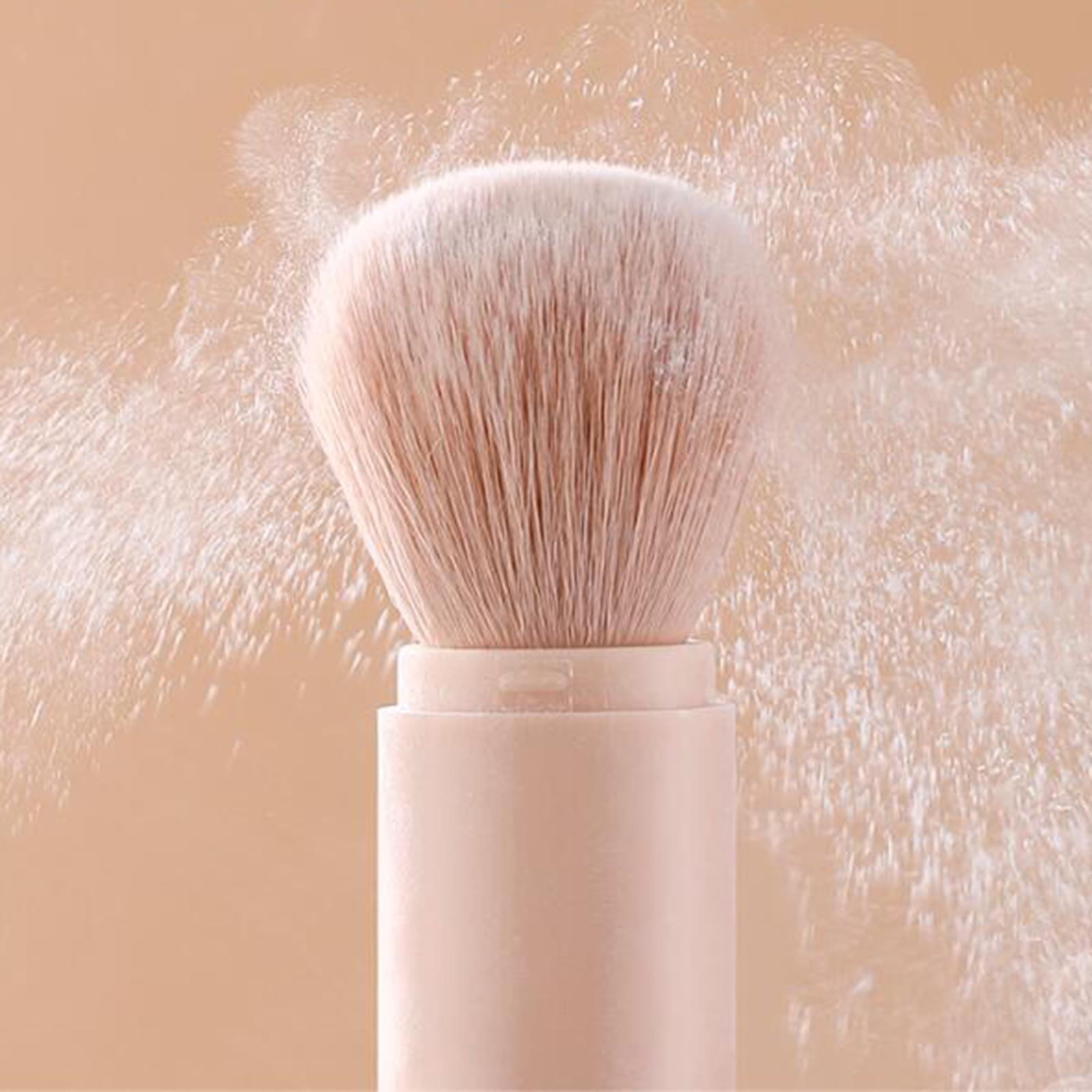 Small Makeup Brush Set W/ Carry Case  for Eyeshadow Blush