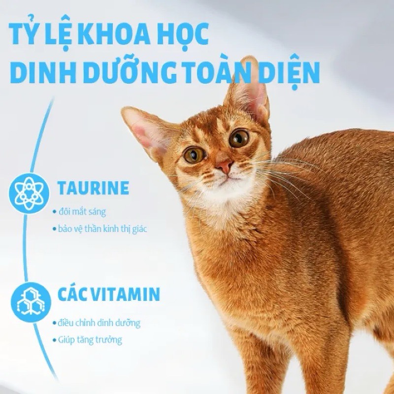 MR.VET CHO MÈO TỪ 1 THÁNG TUỔI 1KG