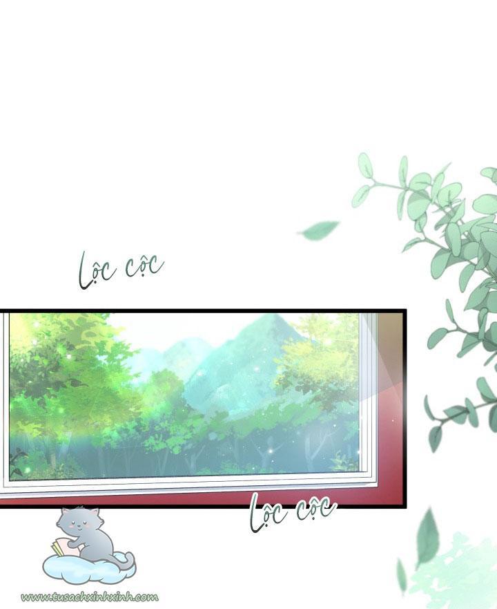 quan hệ cộng sinh giữa báo đen và thỏ trắng chapter 60 16