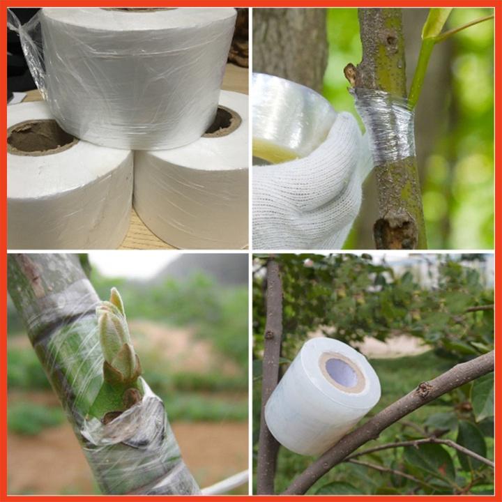 Combo 5 cuộn băng keo ghép cành cây