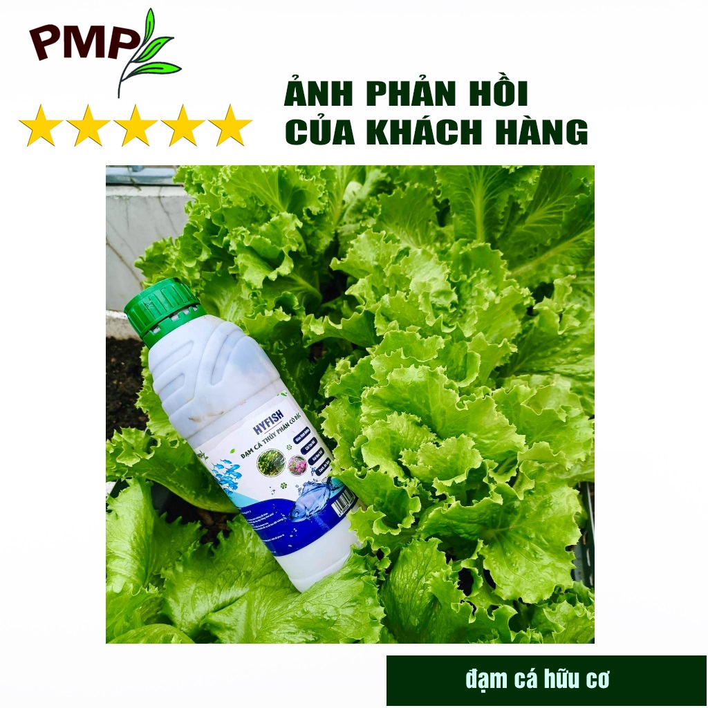 Phân đạm cá hữu cơ Hyfish PMP cho rau sạch, hoa, cây cảnh, cây ăn trái