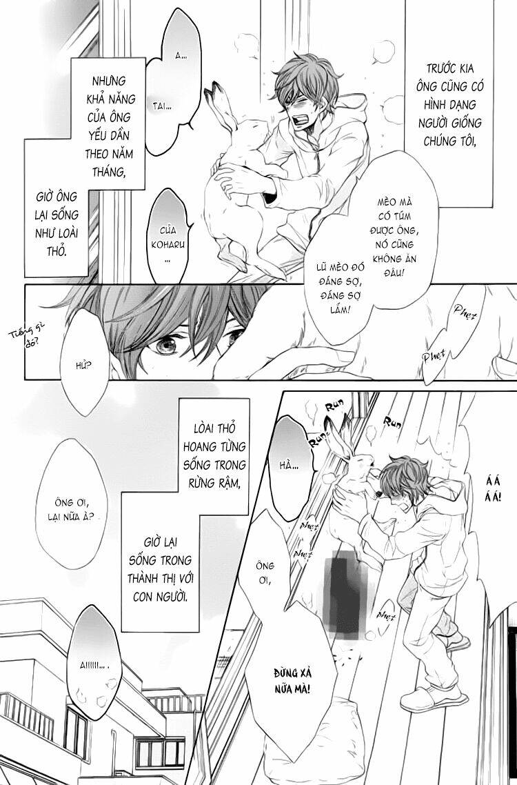 oinarisama no honey bunny chapter 1 18