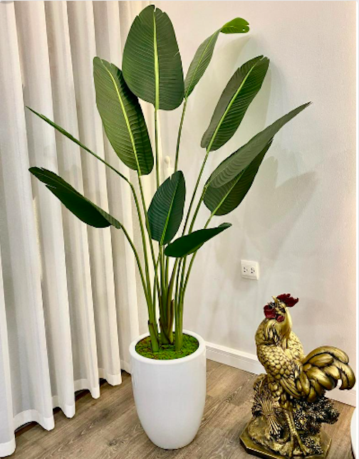 Cây chuối giả chuối rẻ quạt hàng xịn - Size từ 80cm đến 180cm - 3 nhánh - Cây giả, hoa lụa trang trí nhà cửa