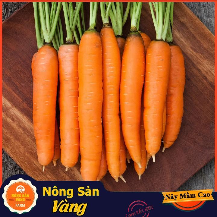 Hạt giống Cà Rốt Thường F1