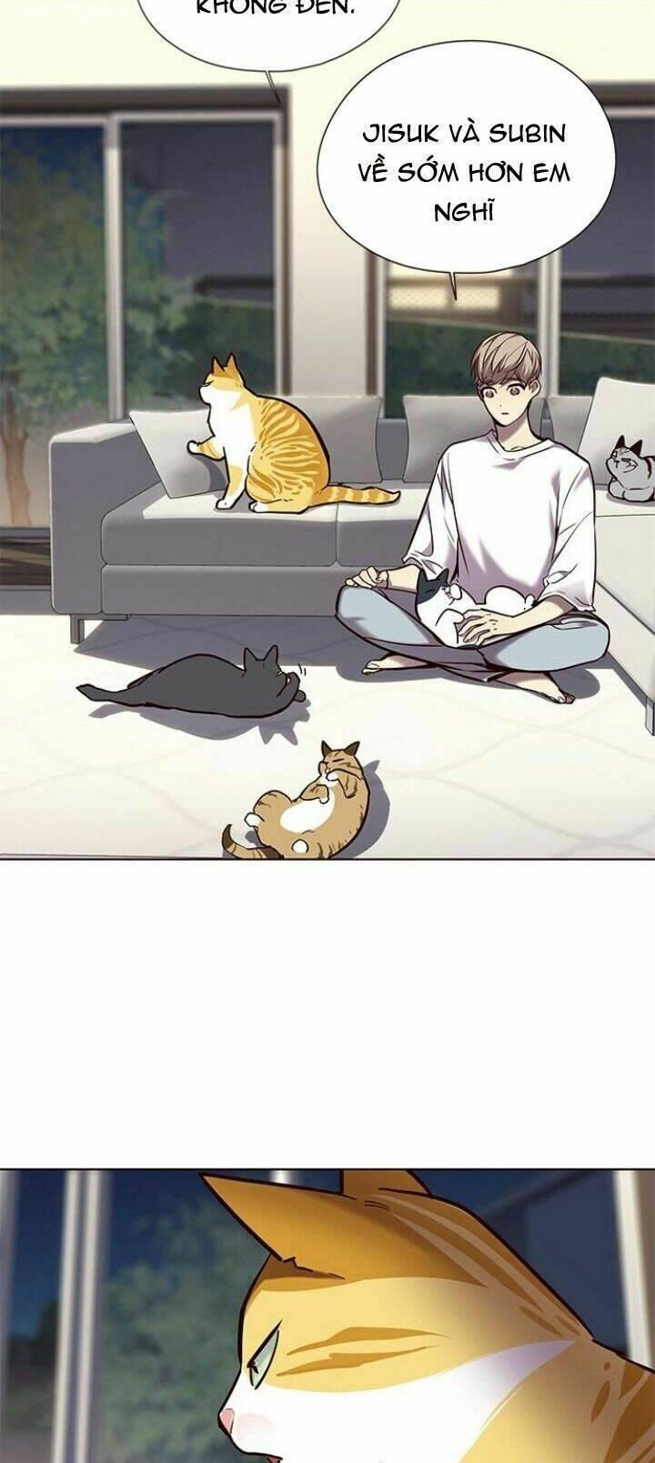 biến thân thành mèo chapter 104 71