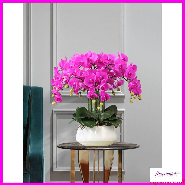 Chậu hoa lan hồ điệp cao su cao cấp cao 60cm trang trí phòng khách, làm quà khai trương sang trọng