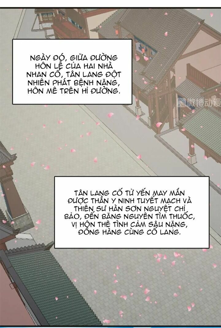 độc bộ thiên hạ: đặc công thần y chapter 248 29