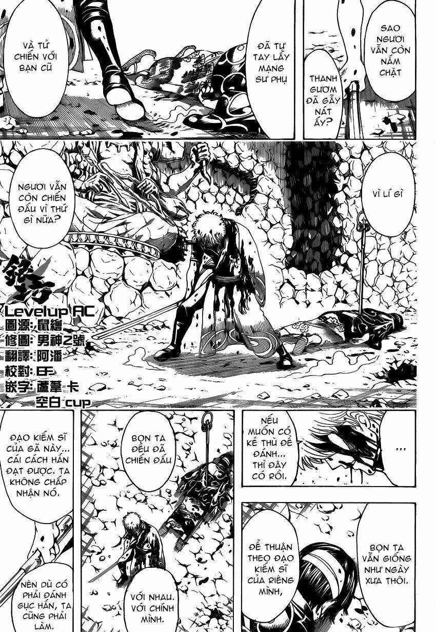 gintama - linh hồn bạc chapter 522 11