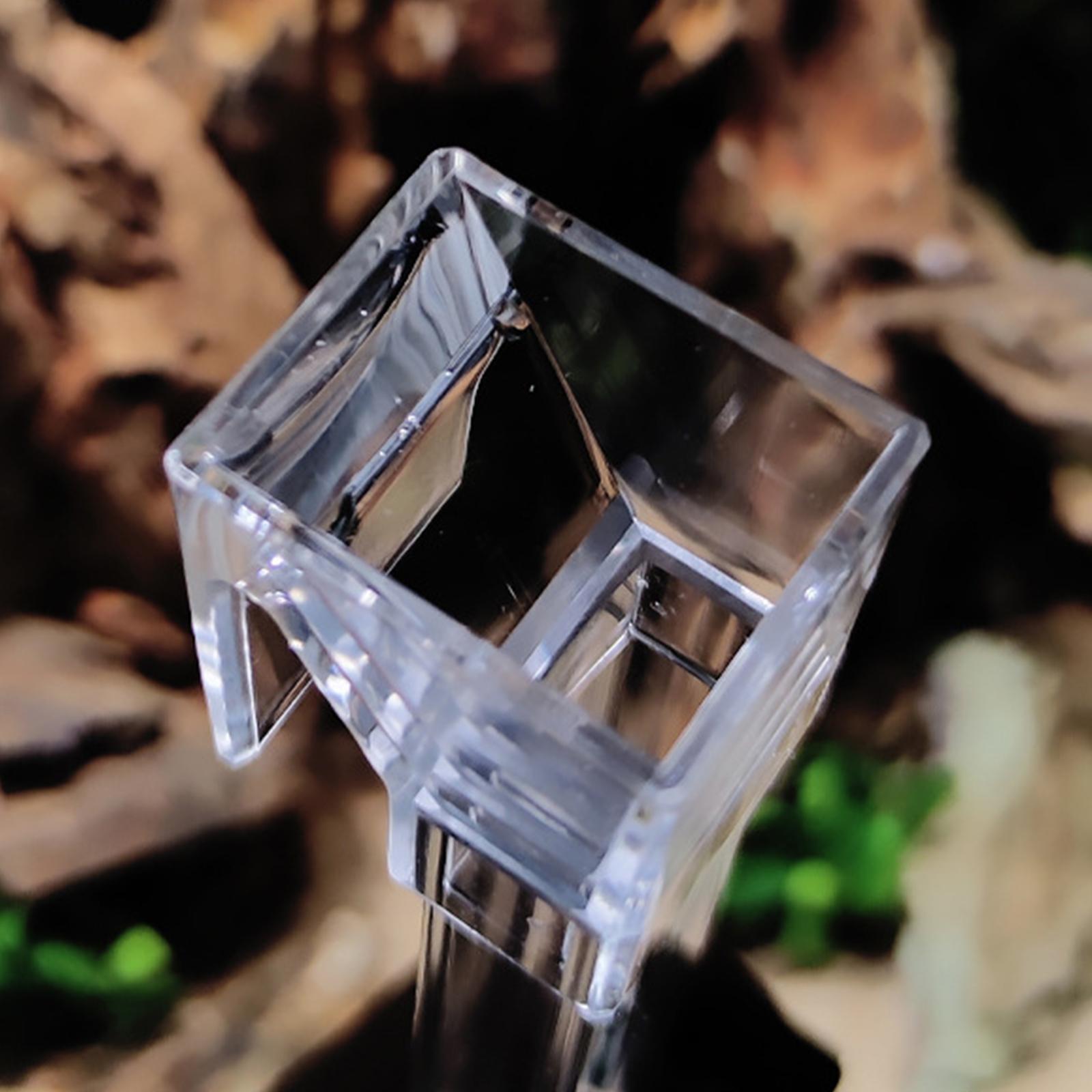 Clear Shrimp Feeder Fish Food Dish Container for Fish Tank