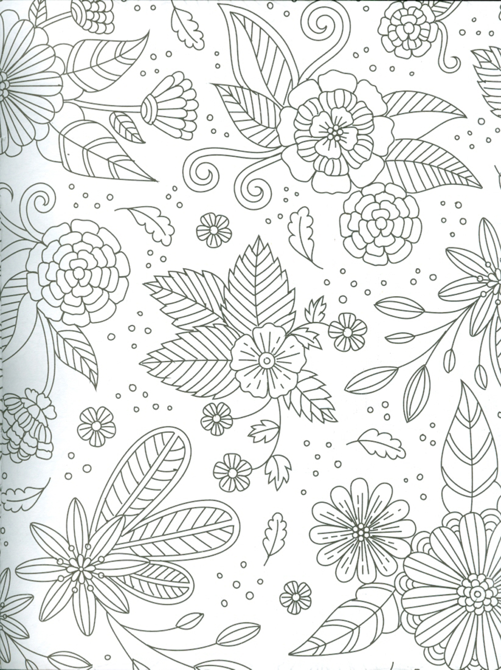 Sách Tô Màu Người Lớn - CÁC LOÀI HOA: Tô Màu Cho Cuộc Sống Bình Yên Và Thư Giãn (Adult Colouring Book - Flowers: Colouring For Peace And Relaxation)