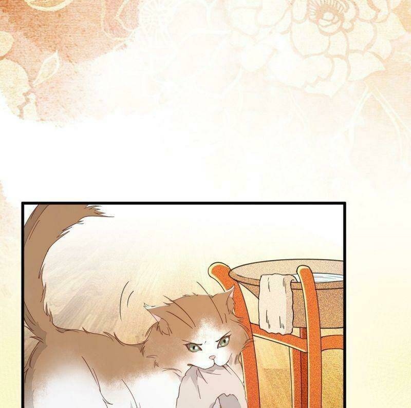 sát thủ vương phi không dễ chọc chapter 32 31