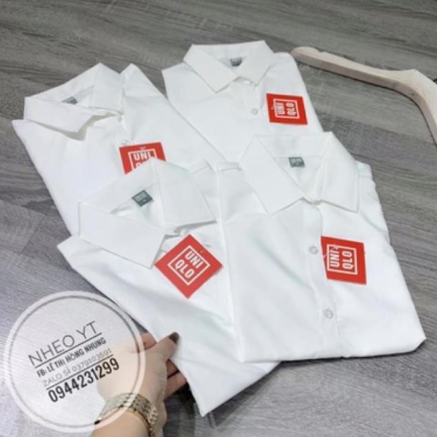 Áo sơ mi trắng tay cộc