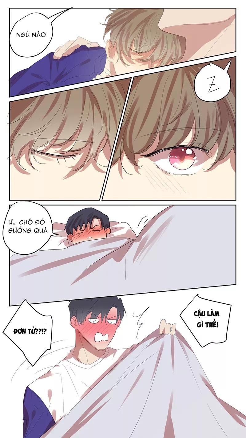 ghét cậu thích cậu chapter 65 14