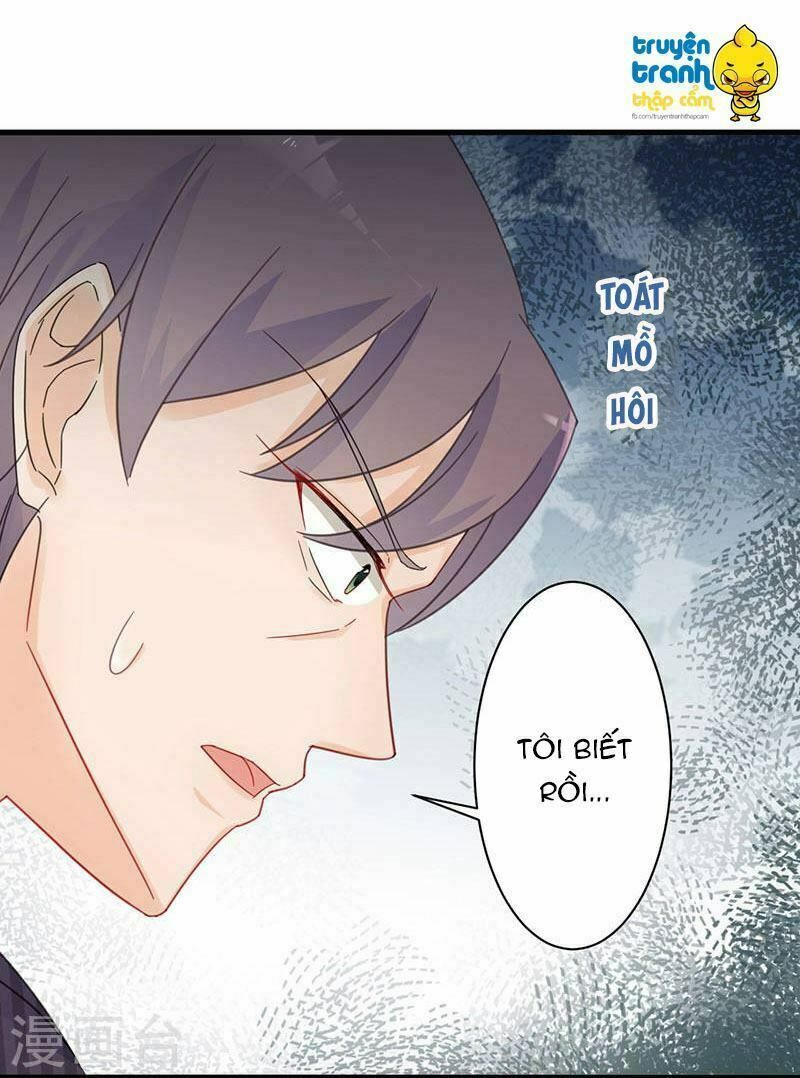 chọc tới chủ tịch tổng tài 2 chapter 41 6