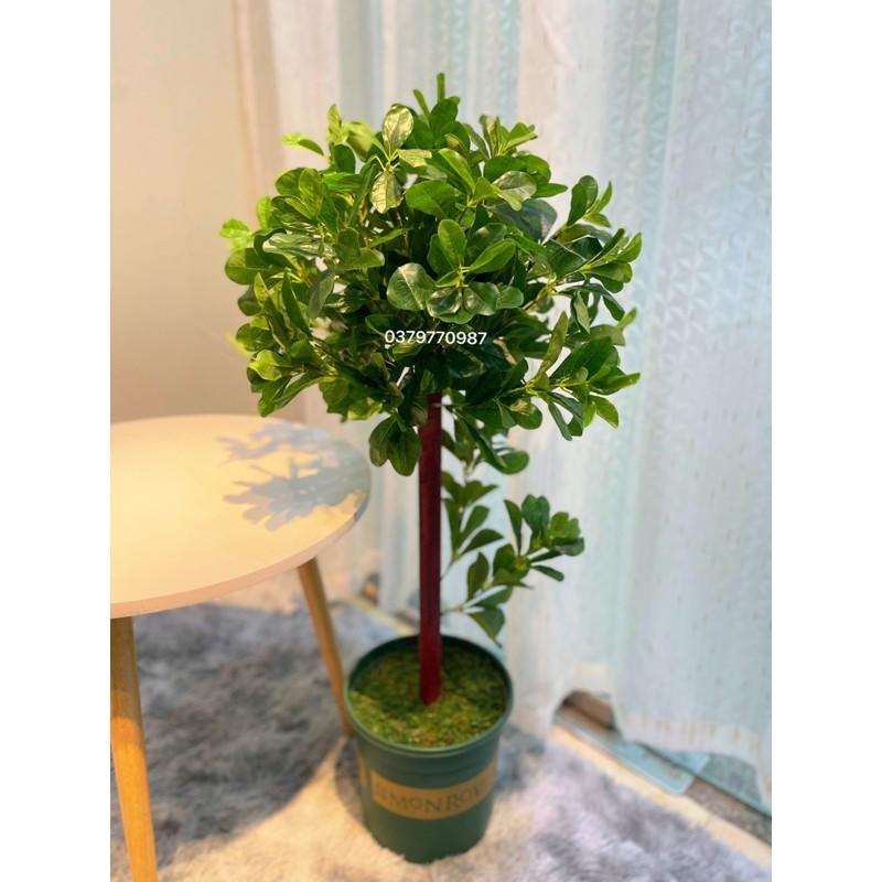 Cây hạnh phúc - Cây giả Decor kèm chậu phủ rêu