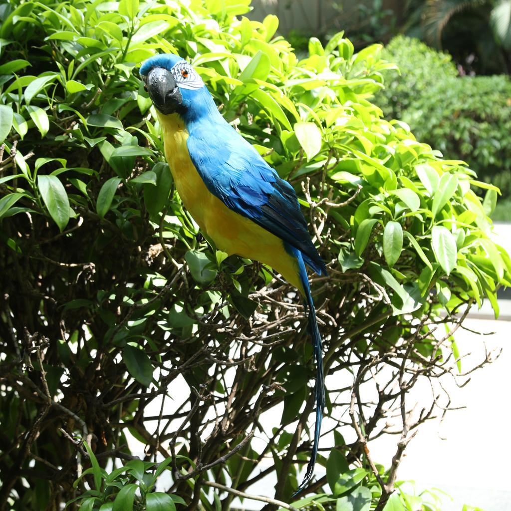 Colorful Bird Feather Realistic Home Garden Decor Ornament Parrot