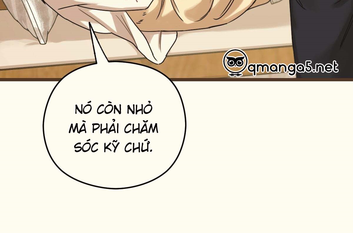 tương phùng chapter 27 67