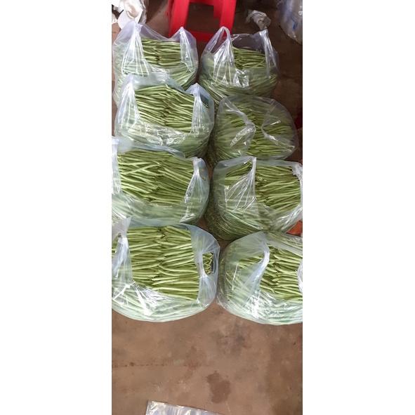 Hạt giống đậu Cove hạt đen cao sản - Agri Polo 117