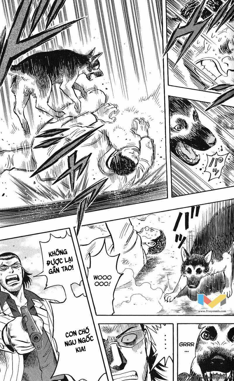 animal sense chapter 12 33