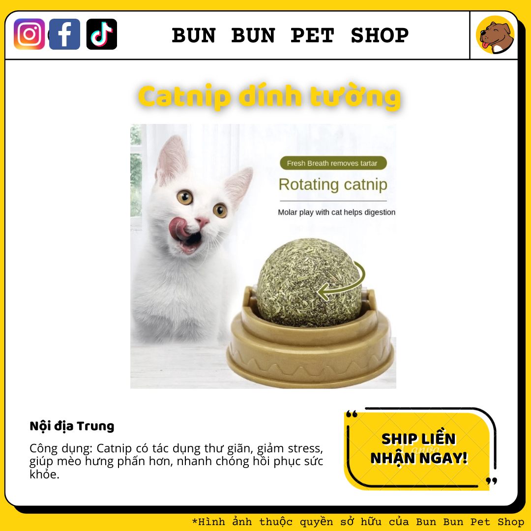 Đồ chơi Catnip/ bạc hà mèo dạng viên gắn tường cho mèo