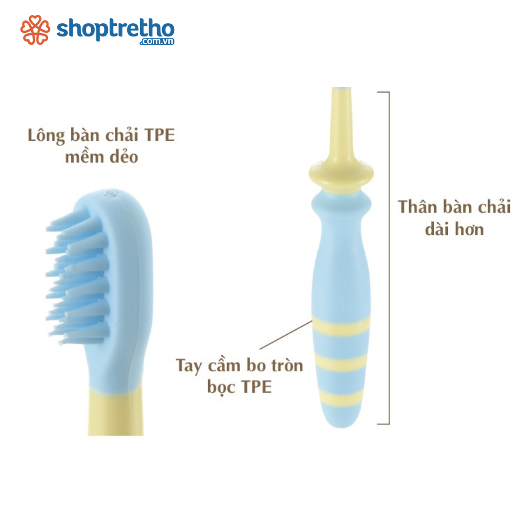 Bộ bàn chải trẻ em 3 bước TLI Richell Nhật Bản từ 6 tháng | Baby