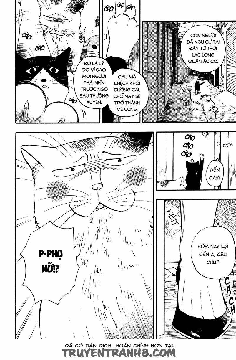 tui là busamen! chapter 4 5