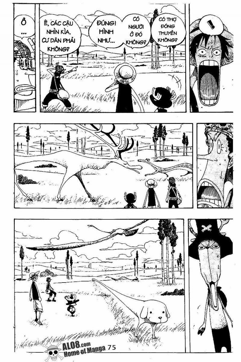 đảo hải tặc - one piece chapter 304 13