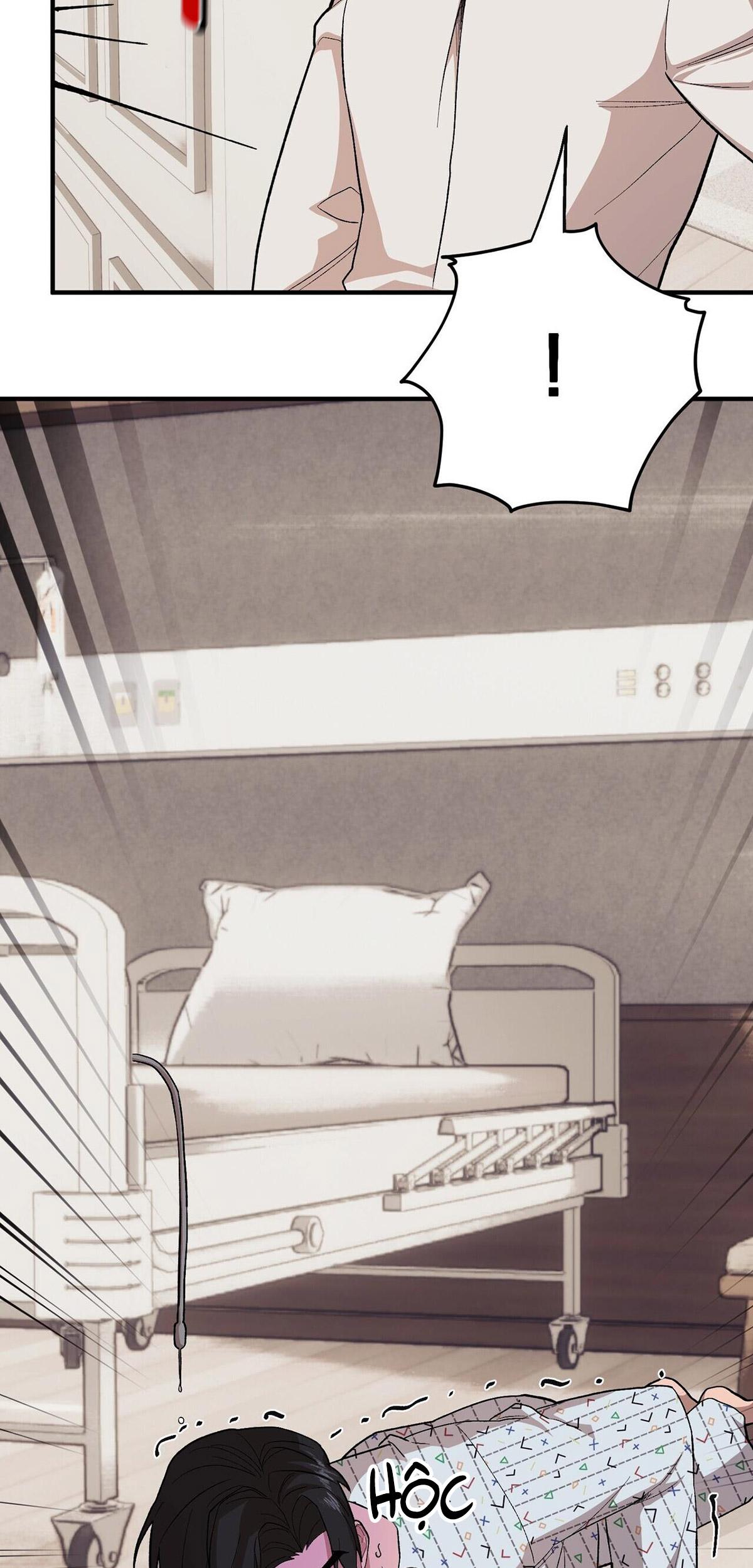 chàng dâu nhà họ kang chapter 56 41