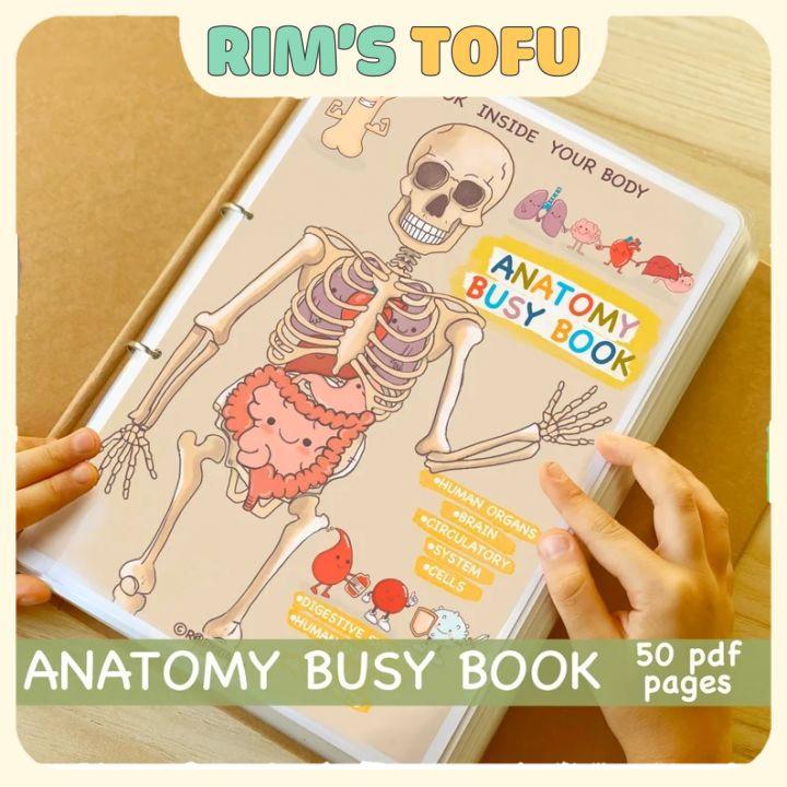 Bộ học liệu bóc dán montessori Khám phá giải phẫu cơ thể Anatomy Busy Book