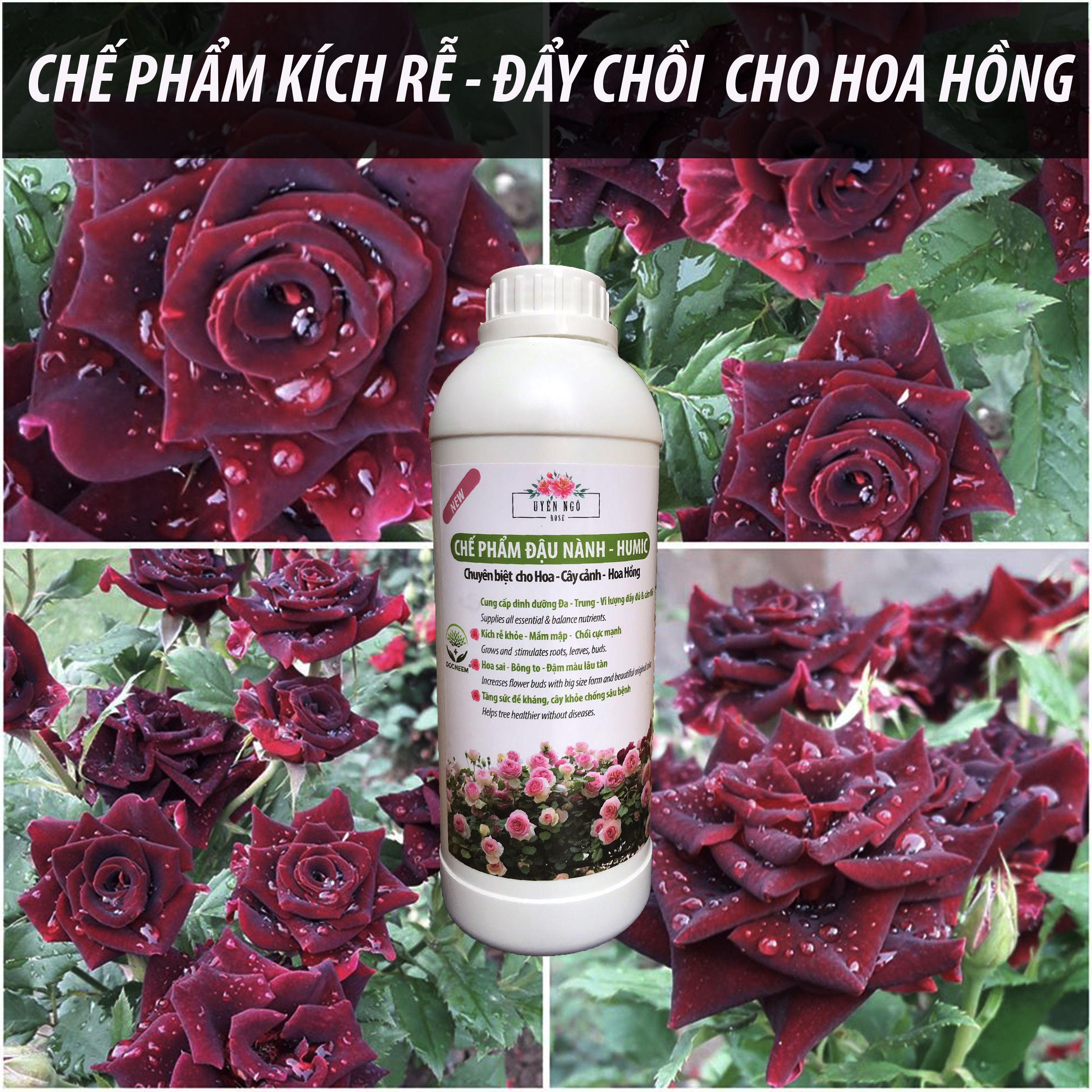 Combo Phân bón đậu tương, đậu nành chuối humic DOCNEEM kích mầm, chồi, hoa chuẩn form trên hoa hồng, cây cảnh, combo 2 chai 1 lít