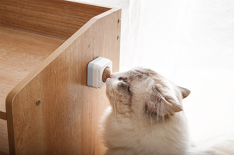 Cỏ catnip dạng viên gắn lên tường cho mèo chơi
