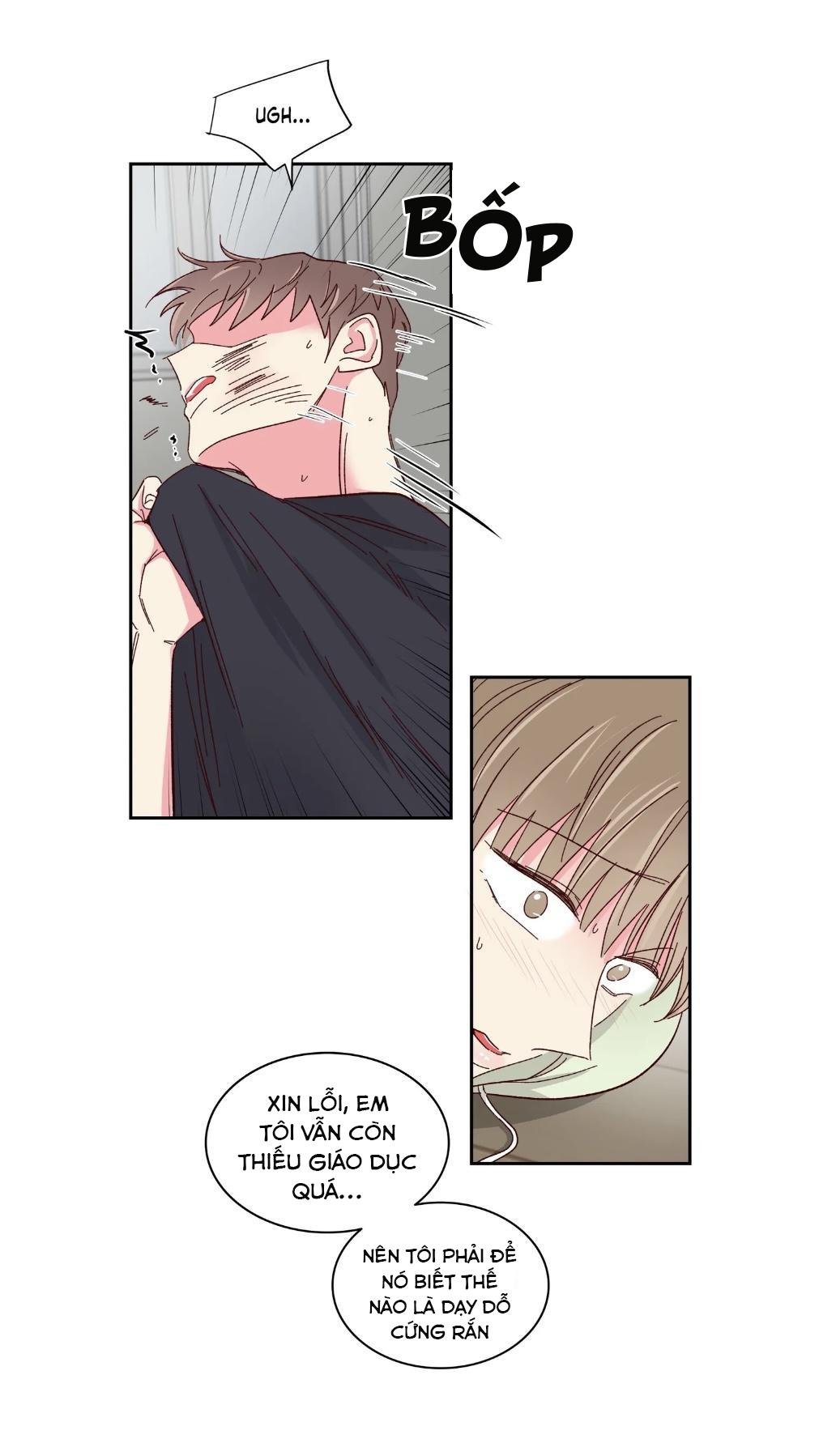 món tráng miệng của sếp tổng chapter 57 9
