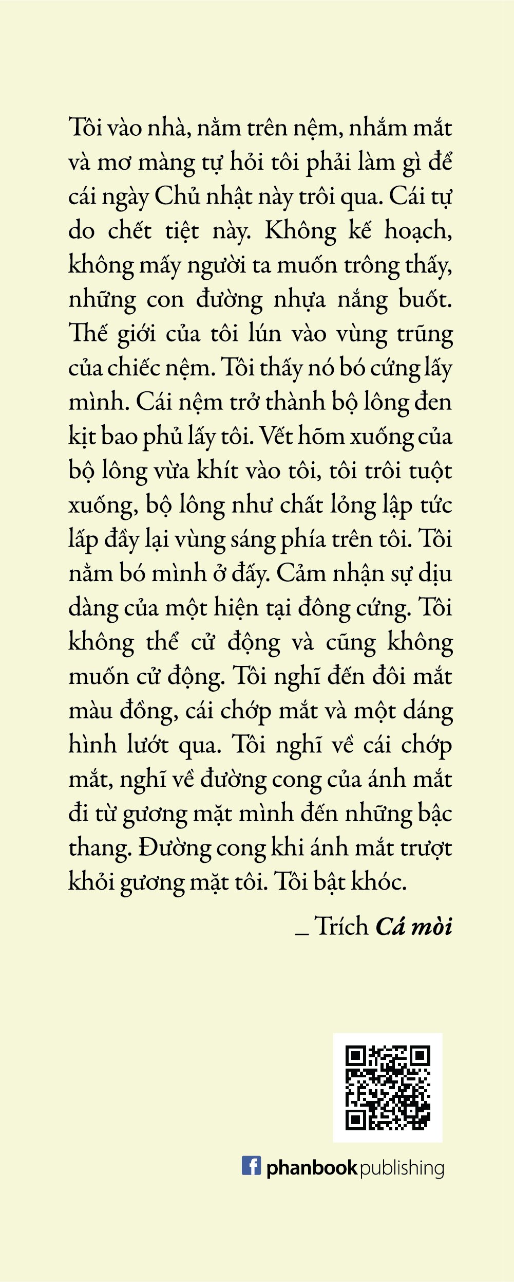 Nhiều Buổi Chiều Và Nhiều Buổi Tối