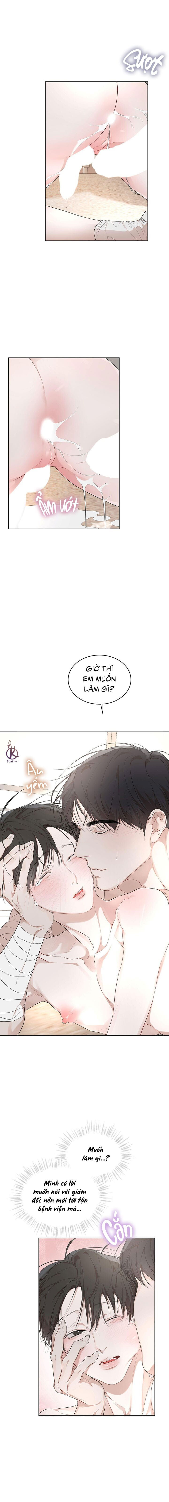 hình thái khởi sinh chapter 66 13