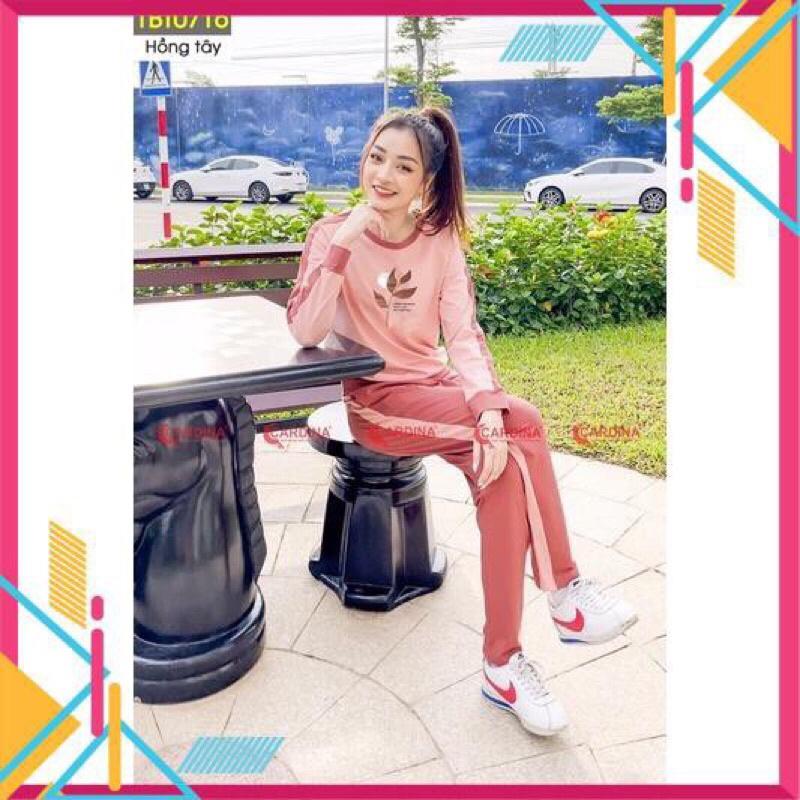Bộ thu hình in lá CARDINA cotton cao cấp co giãn 4 chiều mã 1BT07