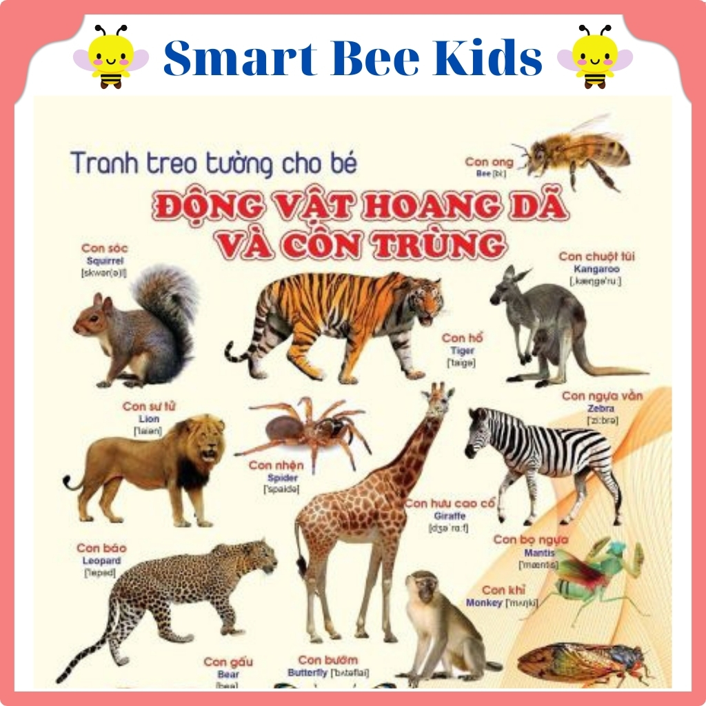 Bộ Thẻ Học Thông Minh Cho Bé 19 Chủ Đề Loại To Đẹp