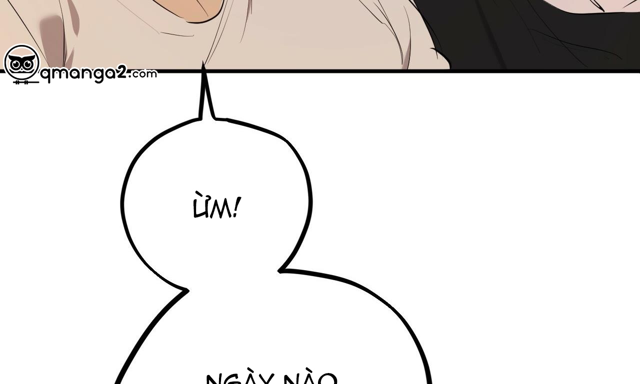 đàn thỏ của habibi chapter 27 262