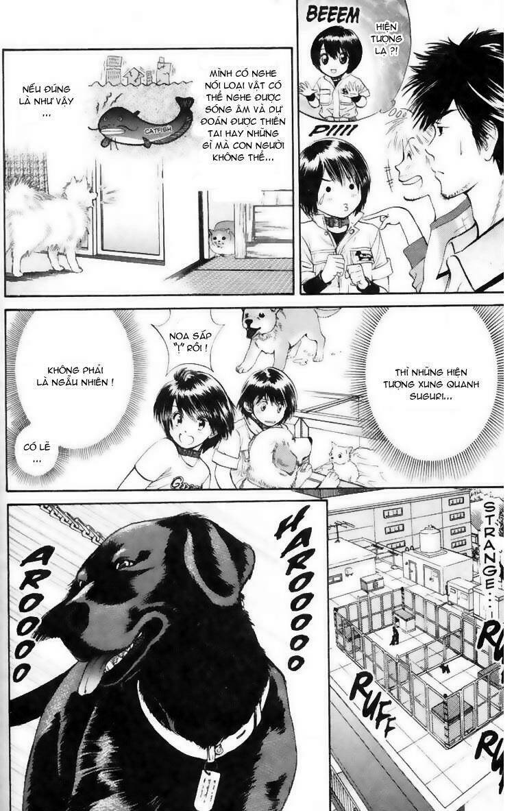 cô nàng yêu chó chapter 8 10