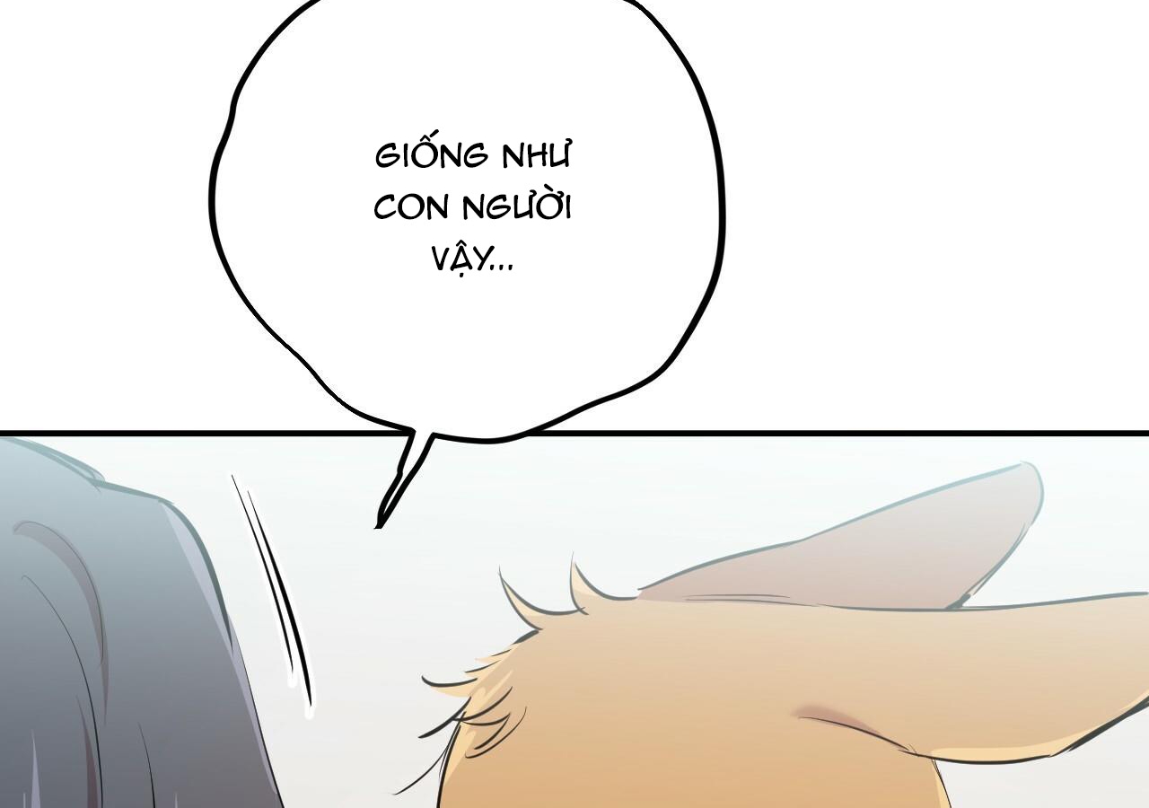 đàn thỏ của habibi chapter 20 239