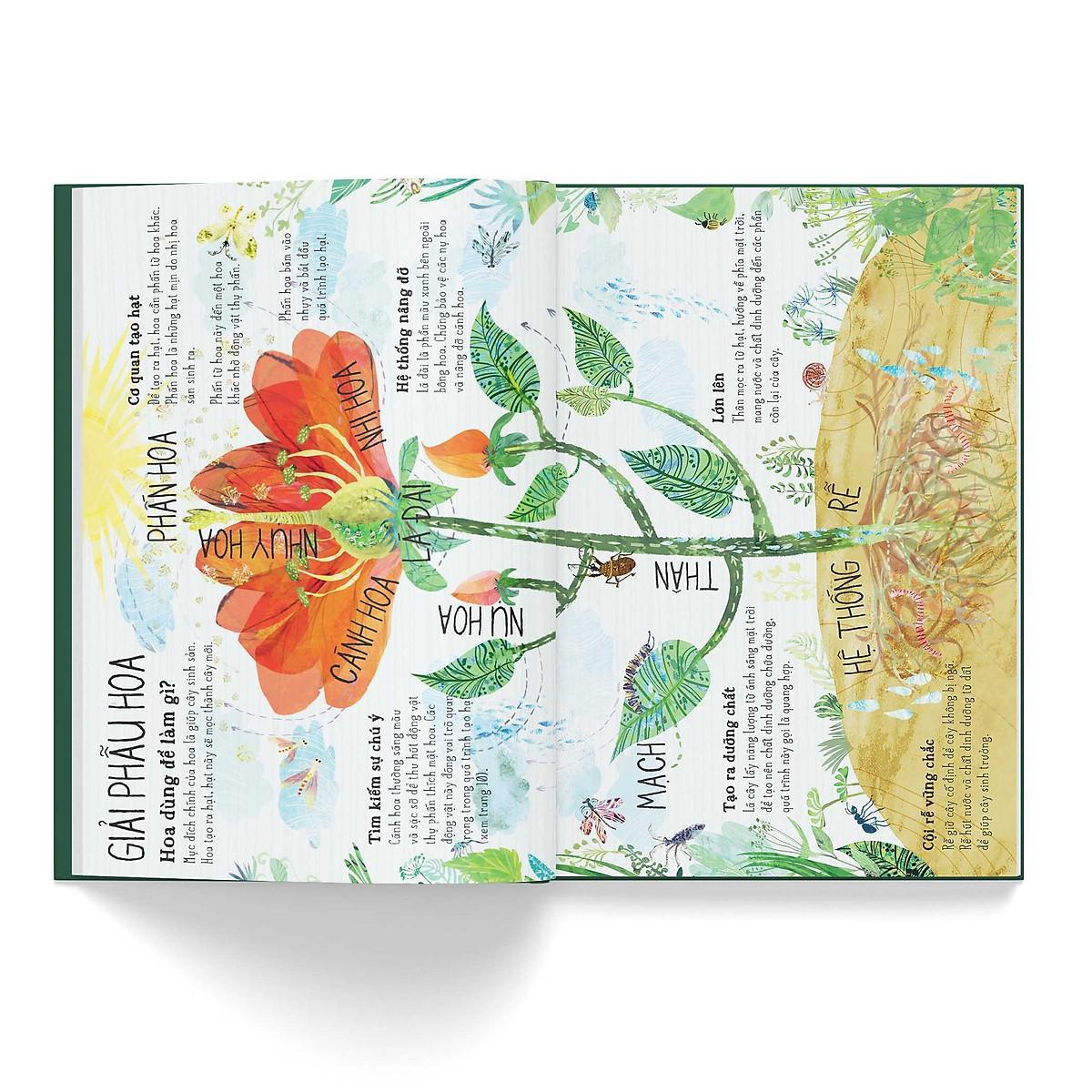 Sách - A Lê Hấp - Đông A  Books